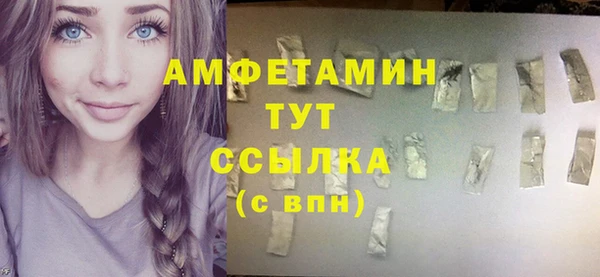 apvp Бородино