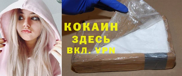 apvp Бородино