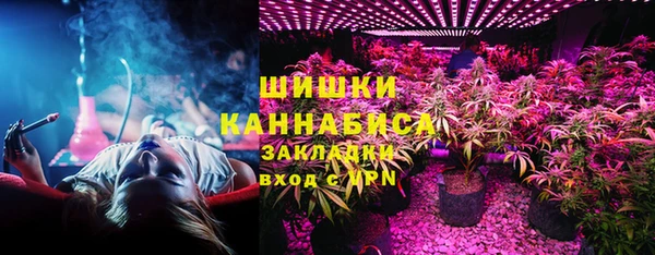 apvp Бородино