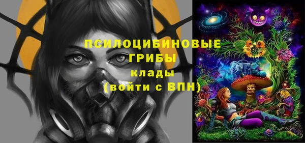 apvp Бородино