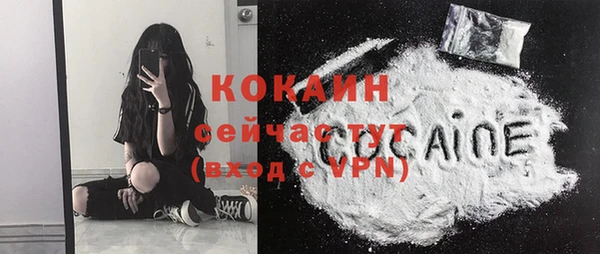 apvp Бородино