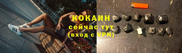 гашик Бронницы