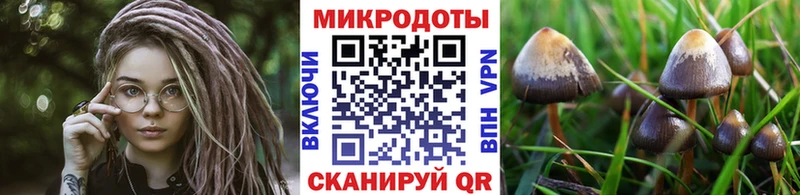 купить   Приволжский  Псилоцибиновые грибы MAGIC MUSHROOMS 